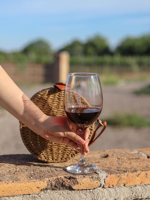Aguascalientes: Cheese and Wine Tour - Cheese Factory Tour