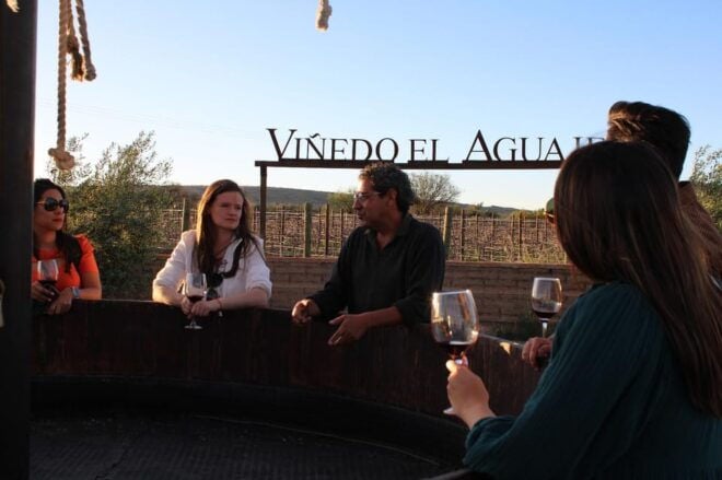 Aguascalientes: Cheese and Wine Tour - Wine Tasting