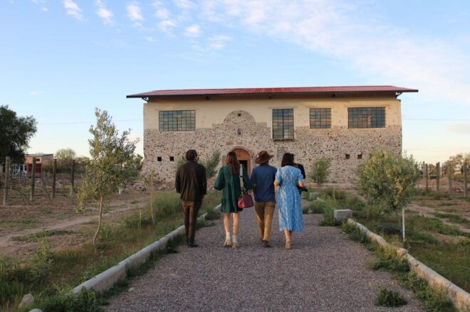 Aguascalientes: Enotourism Tour - Winemaking Experience