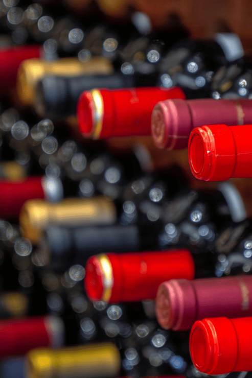Aguascalientes: Wine Route With Tasting Included - Good To Know