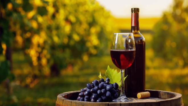 Aguascalientes: Wine Route With Tasting Included - Experience Highlights