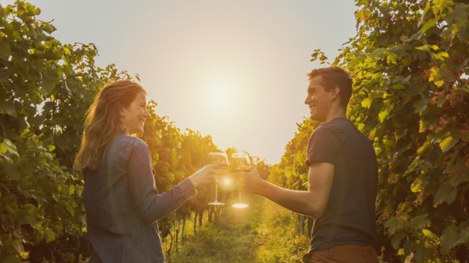 Aguascalientes: Wine Route With Tasting Included - Inclusions