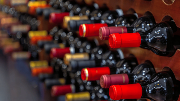 Aguascalientes: Wine Route With Tasting Included - Photo Stops and Guided Tours