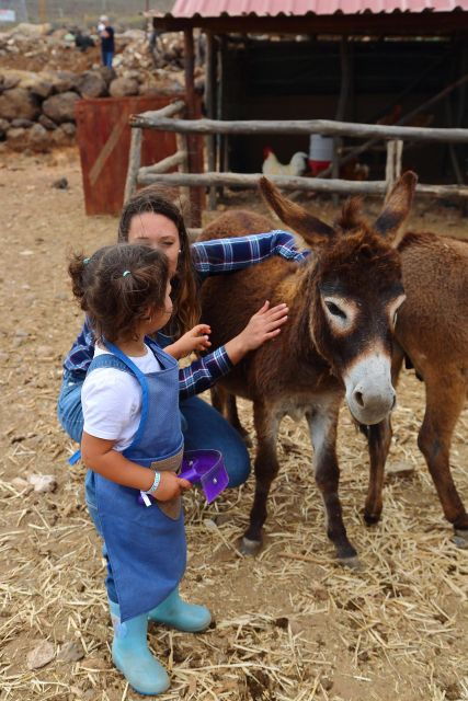 Agüimes: Be a Farmer for the Day at La Jaira De Ana - Good To Know