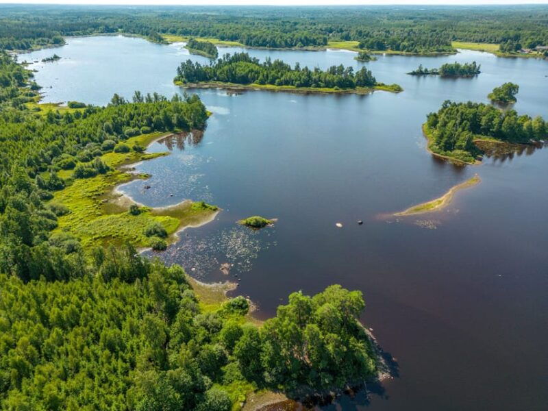 Agunnaryd: Canoe Rental with Life Jackets and Paddles - What to Expect on Your Canoeing Day