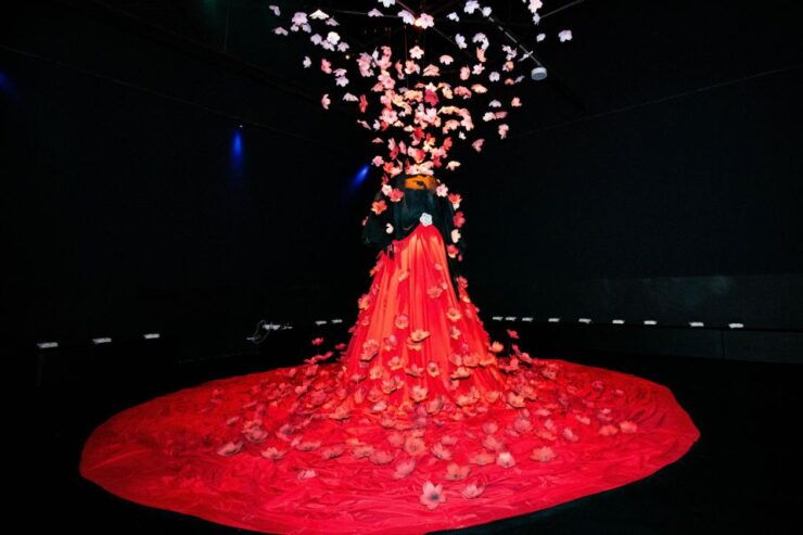 Ah Amália - Living Experience - Experience Details