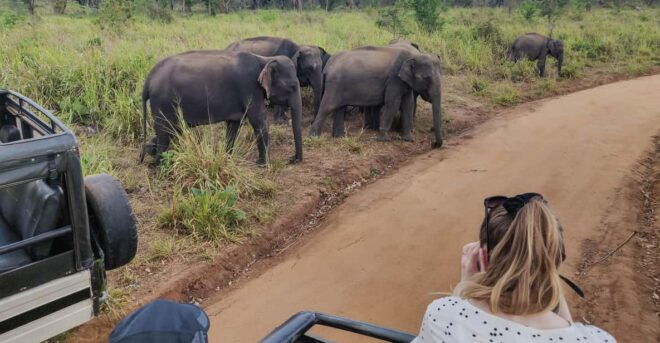 Ahangama: Udawalawe National Park Safari With Hotel Pickup - Tour Inclusions
