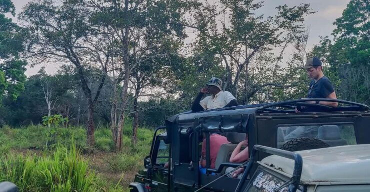 Ahangama: Yala National Park Safari With Hotel Pickup - Safari Experience Highlights