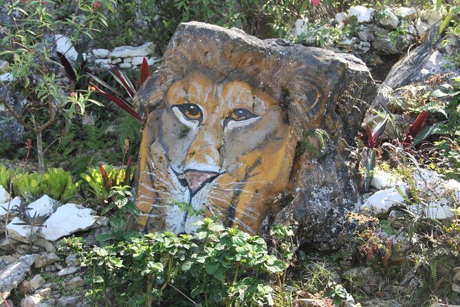 Ahhh Ras Natango Gallery and Garden Private Transfer - An In-Depth Look at the Ras Natango Experience