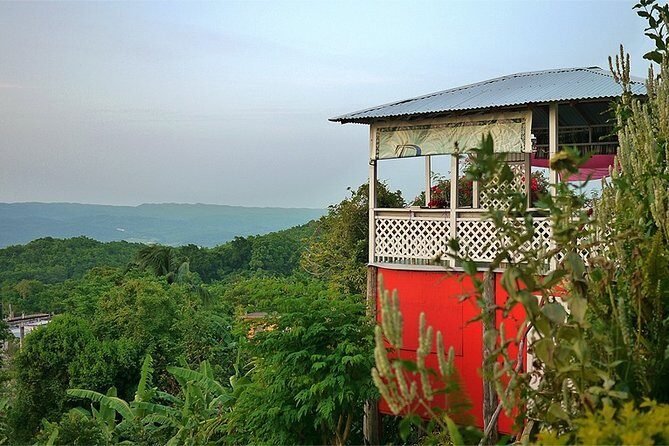 Ahhh Ras Natango Gallery and Garden Private Transfer - Who Will Love This Tour?