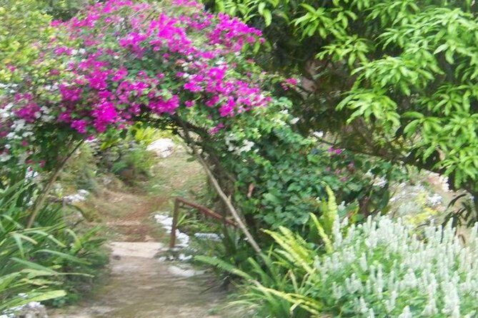 Ahhh Ras Natango Gallery and Garden Private Transfer - The Sum Up