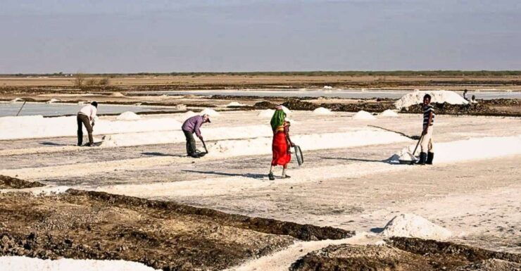 Ahmedabad: 3-Day Little Rann of Kutch Private Wildlife Tour - Good To Know
