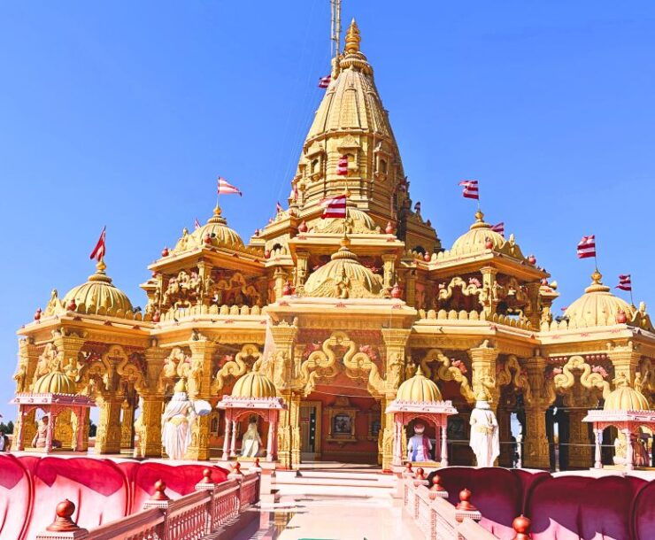 Ahmedabad: 3-Day Little Rann of Kutch Private Wildlife Tour - Inclusions