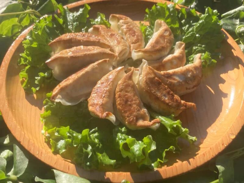 Aichi: Atsumi Peninsula, A Satoyama Cooking Experience - An In-Depth Look at the Atsumi Satoyama Cooking Tour