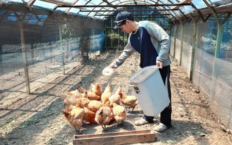 Aichi: Regenerative Farm Stay with Lunch at Doronko Village - An Authentic Cultural Experience for All
