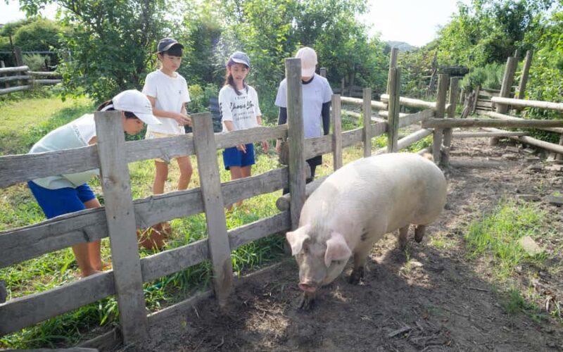 Aichi: Regenerative Farm Stay with Lunch at Doronko Village - Practical Details and Value