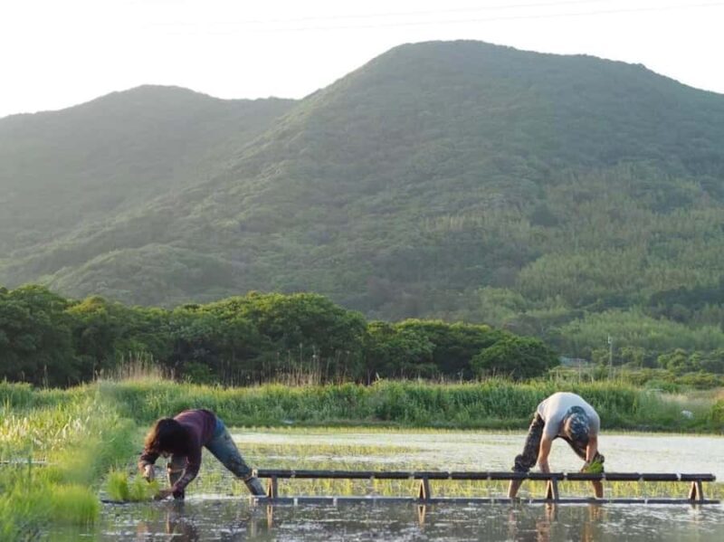 Aichi: Regenerative Farm Stay with Lunch at Doronko Village - FAQ