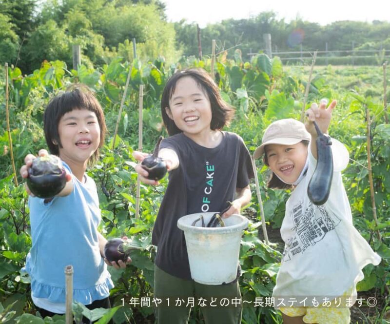 Aichi: Regenerative Farm Stay with Lunch at Doronko Village - Practical Details: What to Expect and Considerations