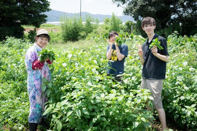 Aichi: Regenerative Farm Stay with Lunch at Doronko Village - FAQ