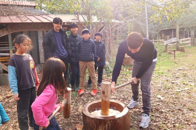 Aichi: Traditional Mochi-Pounding Experience at a Local Farm - Discover the Authentic Charm of Japan with a Mochi-Pounding Experience