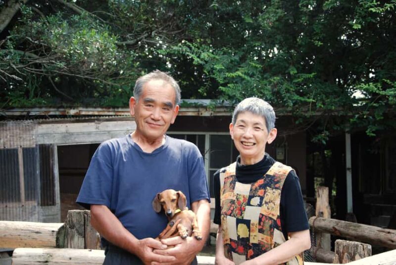 Aichi: Traditional Mochi-Pounding Experience at a Local Farm - The Value of This Cultural Experience