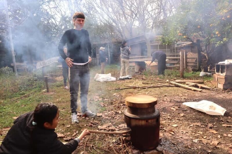 Aichi: Traditional Mochi-Pounding Experience at a Local Farm - Who Will Love This Tour?