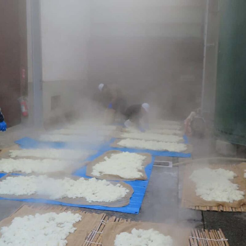 Aichi : Yamada Shuzo Sake Brewery Tour with Tasting - Good To Know