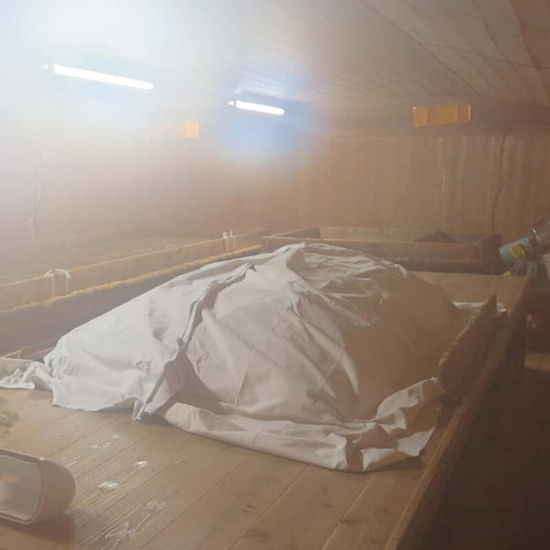 Aichi : Yamada Shuzo Sake Brewery Tour with Tasting - Practical Details: What to Expect and How to Prepare