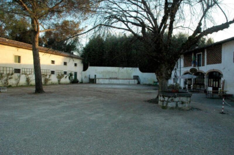 Aiello del Friuli: Museum of Peasant Civilization Tour - Practical Tips for Visiting