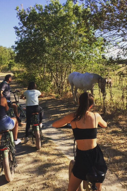 Aigues Mortes: Bike Safari - Ebike Tour in Camargue - Key Points