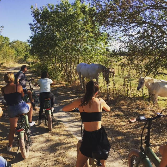 Aigues Mortes: Bike Safari - Ebike Tour in Camargue - Experience Highlights