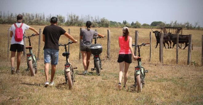 Aigues Mortes: Bike Safari - Ebike Tour in Camargue - Itinerary of the Tour