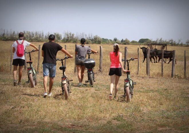 Aigues Mortes: Bike Safari - Ebike Tour in Camargue - Booking and Cancellation Policies