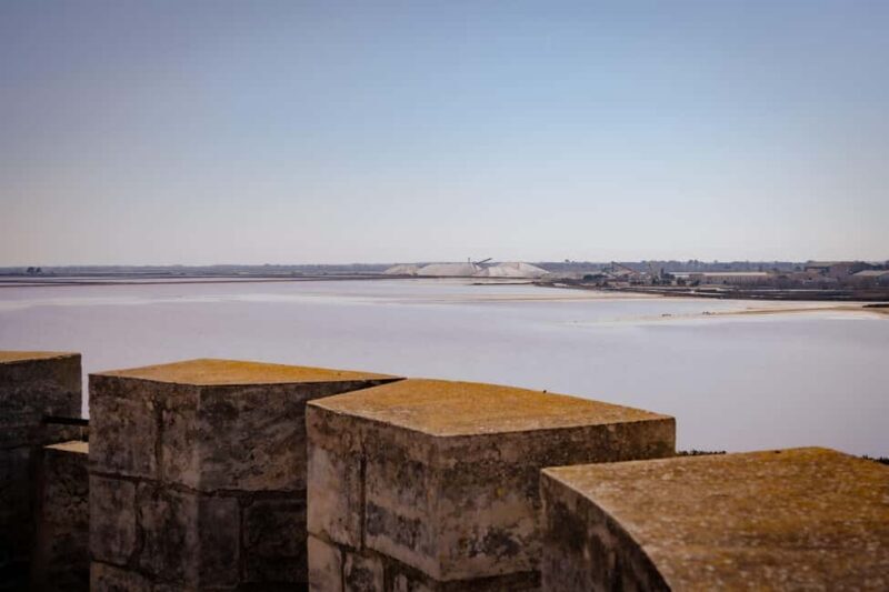 Aigues-Mortes: Private Guided Tour of city + Constance Tower - Who Should Consider This Tour?
