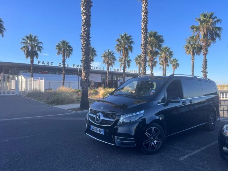 Aigues-Mortes: Private Transfer to Port Camargue - Service Details