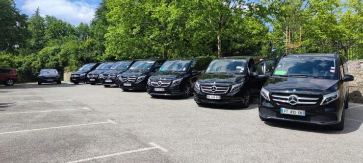 Aigues-Mortes: Private Transfer to Port Camargue - Full Description