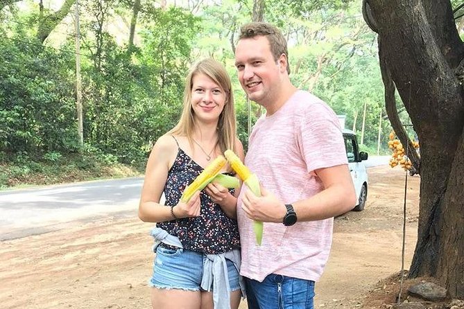 Air Port Pick up and Drop to Kandy - Pre-Booking Vs. On-The-Spot Arrangements