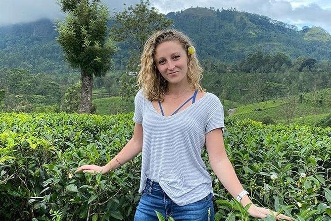 Air Port Pick up and Drop to Kandy - Common Questions