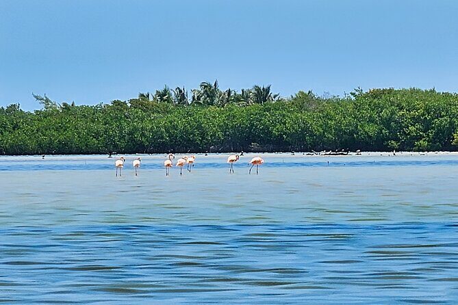 Airboat and ATV Jungle Adventure Combo in Cancun - Why This Tour Offers True Value