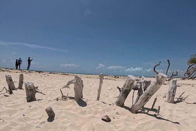 Airboat and ATV Jungle Adventure Combo in Cancun - Who Will Love This Experience?