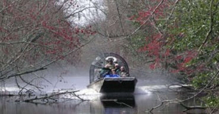Airboat Tour of Louisiana Swamps - Good To Know