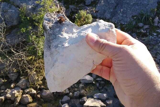 Aire & Candeeiros: Nature, Fossils and Forgotten Traditions - Transportation and Overall Comfort