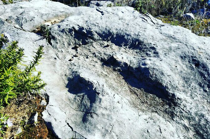 Aire & Candeeiros: Nature, Fossils and Forgotten Traditions - The Sum Up