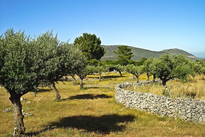 Aire E Candeeiros Nature Park Full Day Private Tour From Lisbon - Booking and Pricing