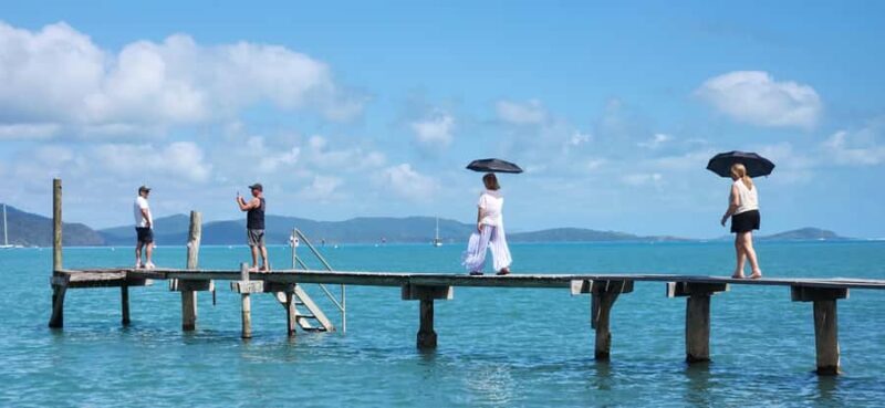 Airlie Beach 3 hr Sightseeing Explorer: Snaps & highlights - Who Should Book This Tour?