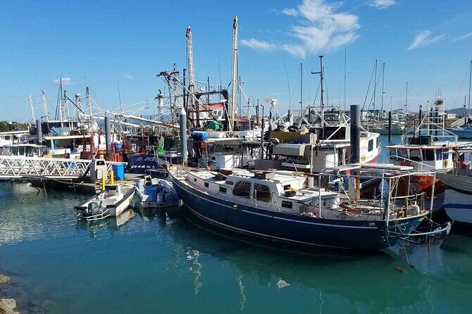 Airlie Beach: Beautiful Bowen Beaches Day Tour. - The Value of the Tour