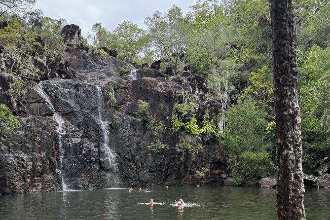 Airlie Beach: Cedar Creek Express (cruise ship friendly) - FAQ  