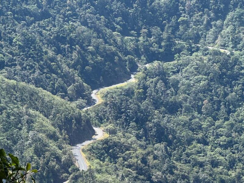 Airlie Beach: Eungella Wild Platypus Encounter - FAQs