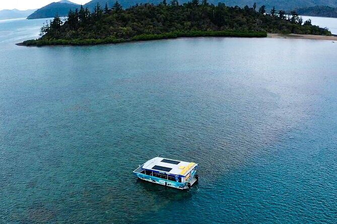 Airlie Beach Glass Bottom Boat Guided Night Tour - Why the Airlie Beach Glass Bottom Night Tour Stands Out