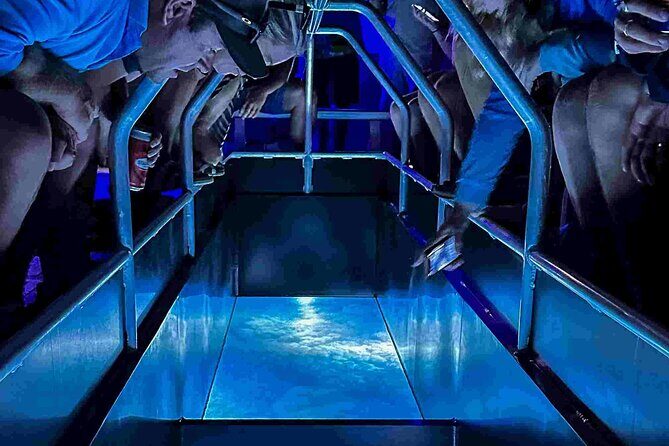 Airlie Beach Glass Bottom Boat Guided Night Tour - The Experience: What It’s Like Onboard